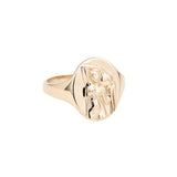 Gold Zodiac Signet Rings