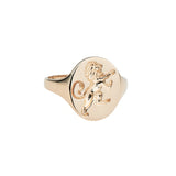 Gold Zodiac Signet Rings