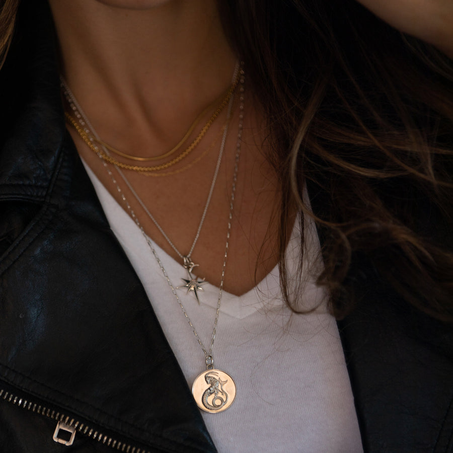 SILVER & GOLD PLATED ZODIAC MEDALLIONS